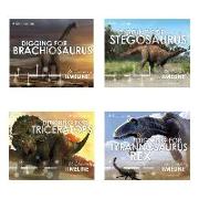 Dinosaur Discovery Timelines