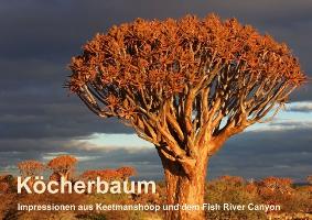 Köcherbaum - Quiver tree - Kokerboom (Tischaufsteller DIN A5 quer)