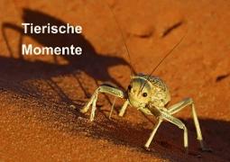 Tierische Momente (Tischaufsteller DIN A5 quer)