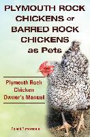 Plymouth Rock Chickens or Barred Rock Chickens as Pets. Plymouth Rock Chicken Owner's Manual