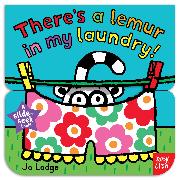 Slide and Seek: There's a Lemur in My Laundry