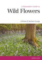 A Naturalist's Guide to Wild Flowers of Britain & Northern Europe