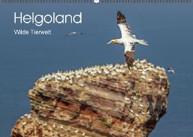 Helgoland - WIlde Tierwelt (Wandkalender immerwährend DIN A2 quer)