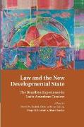 Law and the New Developmental State