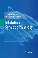 Inhibitory Synaptic Plasticity