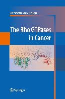 The Rho GTPases in Cancer