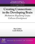 Creating Connections in the Developing Brain
