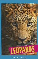 Leopards