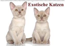 Exotische Katzen / Geburtstagskalender (Wandkalender immerwährend DIN A2 quer)