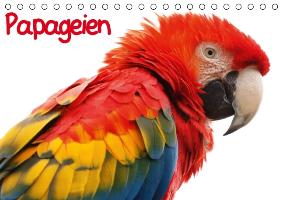 Papageien (Tischkalender immerwährend DIN A5 quer)