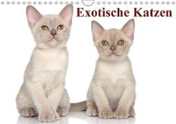 Exotische Katzen / Geburtstagskalender (Wandkalender immerwährend DIN A4 quer)