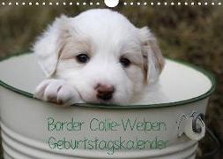 Border Collie-Welpen Geburtstagskalender (Wandkalender immerwährend DIN A4 quer)