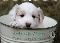 Border Collie-Welpen Geburtstagskalender (Wandkalender immerwährend DIN A2 quer)