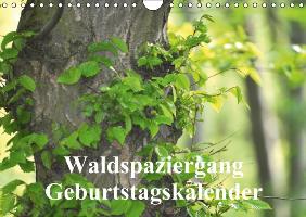 Waldspaziergang/Geburtstagskalender (Wandkalender immerwährend DIN A4 quer)