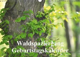 Waldspaziergang/Geburtstagskalender (Wandkalender immerwährend DIN A3 quer)