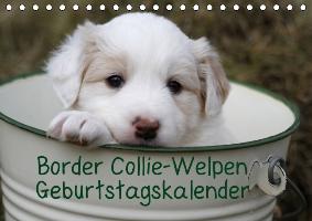 Border Collie-Welpen / AT-Version / Geburtstagskalender (Tischkalender immerwährend DIN A5 quer)