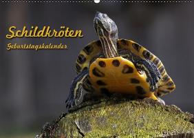 Schildkröten Geburtstagskalender (Wandkalender immerwährend DIN A2 quer)