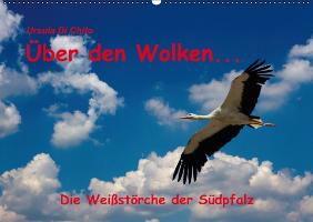 Über den Wolken - Die Weißstörche der Südpfalz (Wandkalender immerwährend DIN A2 quer)