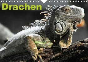 Drachen / Geburtstagskalender (Wandkalender immerwährend DIN A4 quer)