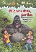 Buenos Dias, Gorilas
