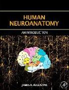 Human Neuroanatomy