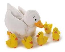 Duck and Ducklings Set