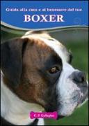 Boxer