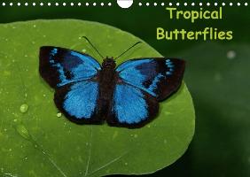 Tropical Butterflies / UK-version (Wall Calendar perpetual DIN A4 Landscape)