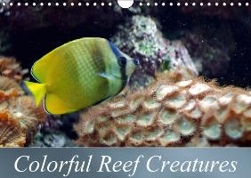 Colorful Reef Creatures (Wall Calendar perpetual DIN A4 Landscape)
