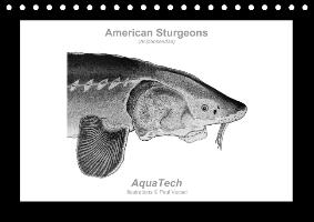 American Sturgeons (Acipenseridae): Fish as Art (Table Calendar perpetual DIN A5 Landscape)