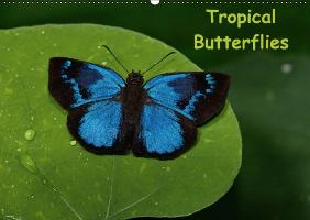Tropical Butterflies / UK-version (Wall Calendar perpetual DIN A2 Landscape)