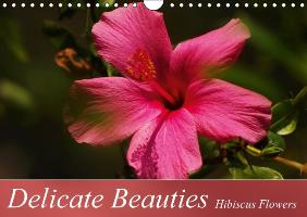 Delicate Beauties Hibiscus Flowers (Wall Calendar perpetual DIN A4 Landscape)