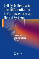 Cell Cycle Regulation and Differentiation in Cardiovascular and Neural Systems