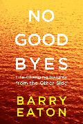 No Goodbyes: Life-Changing Insights from the Other Side