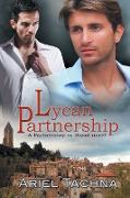 Lycan Partnership