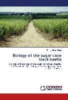 Biology of the sugar cane black beetle