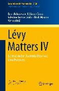 Lévy Matters IV