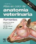 Atlas en color de anatomía veterinaria : rumiantes