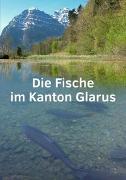 Die Fische im Kanton Glarus