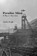 Paradise Mine