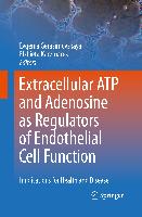 Extracellular ATP and adenosine as regulators of endothelial cell function