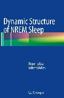 Dynamic Structure of NREM Sleep