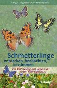 Schmetterlinge entdecken, beobachten, bestimmen