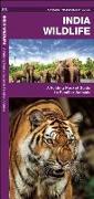 India Wildlife: A Folding Pocket Guide to Familiar Animals