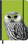 SoftTouch Notebook Nerdy Owl 16x22