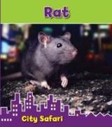 Rat