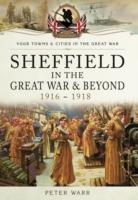 Sheffield in the Great War and Beyond: 1916 - 1918