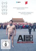 Ai Weiwei - The Fake Case