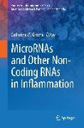 MicroRNAs and Other Non-Coding RNAs in Inflammation