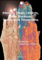Ethnicity, Ethnic Conflicts, Peace Processes